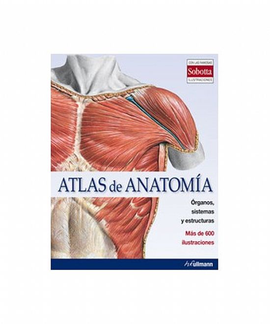 ATLAS DE ANATOMIA