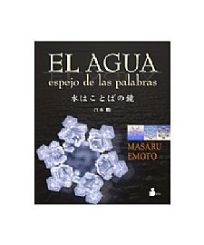 EL AGUJA ESPEJO DE LAS PALABRAS