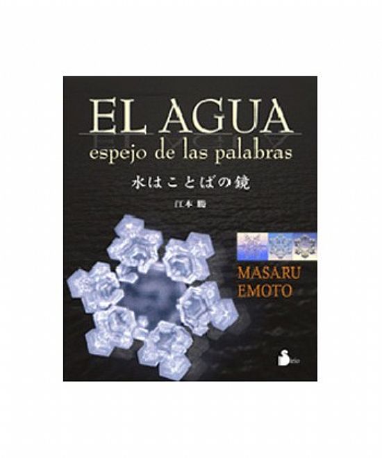 EL AGUJA ESPEJO DE LAS PALABRAS