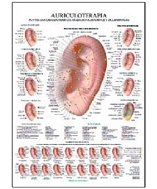 AURICULOTERAPIA