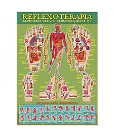REFLEXOTERAPIA