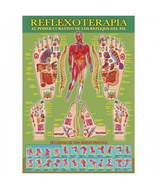 REFLEXOTERAPIA