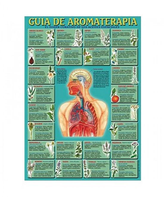 GUIA DE AROMATERAPIA