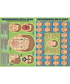 RELFEXOLOGIA DE LA CARA