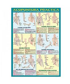 ACUPUNTURA PRACTICA